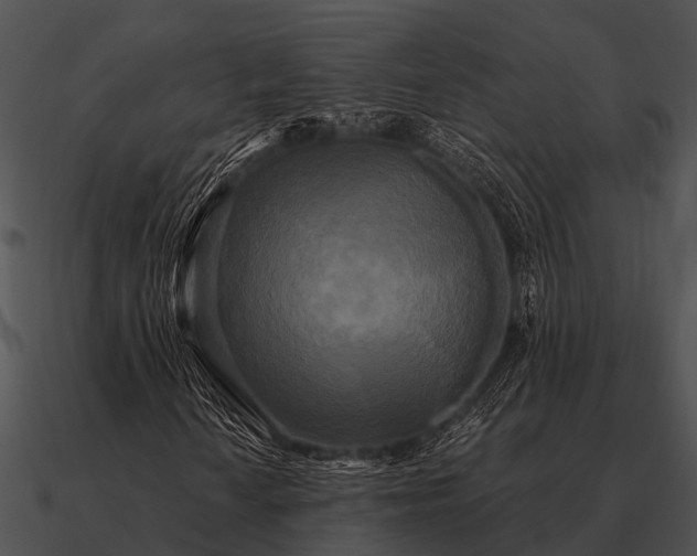 X0000090711010200708031428