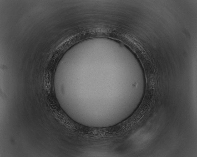 X0000090711015200708031429