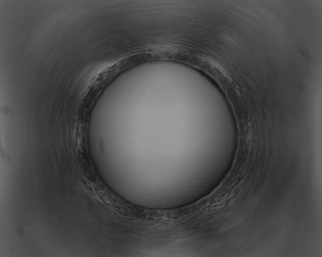 X0000090711016200708031429