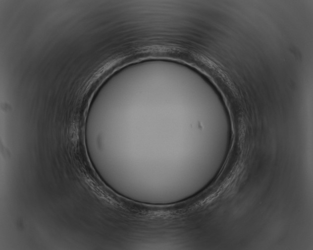 X0000090711017200708031429