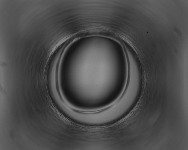 X0000090711018200708031429