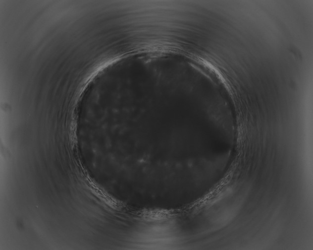 X0000090711019200708031429