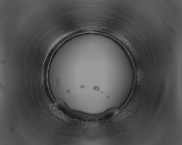 X0000090711020200708031429