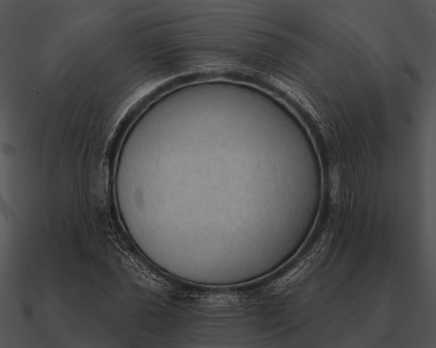 X0000090711021200708031429