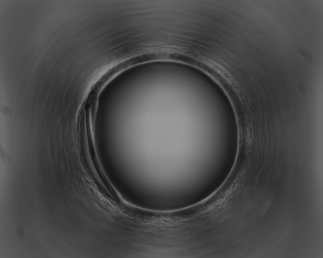 X0000090711022200708031429