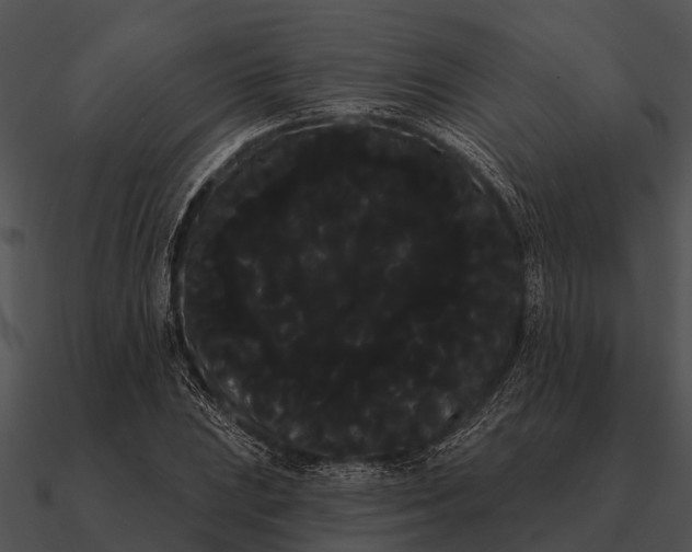 X0000090711023200708031429