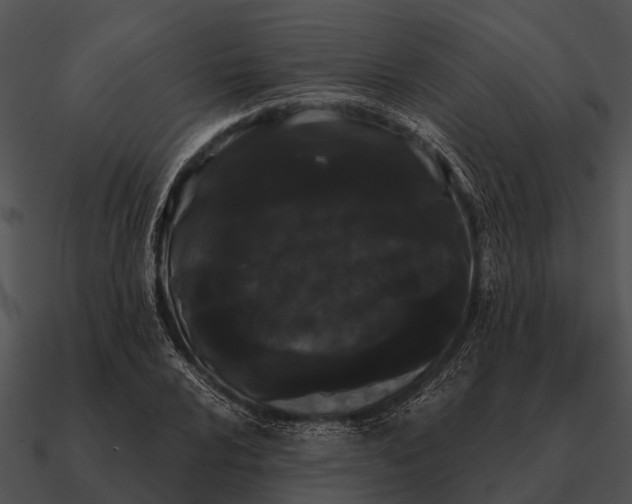 X0000090711024200708031429