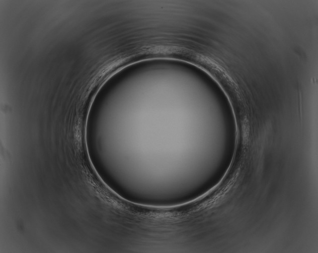 X0000090711025200708031429