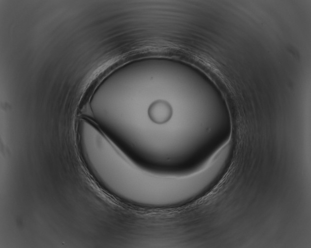 X0000090711026200708031429