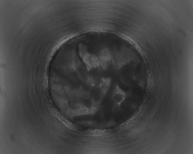 X0000090711027200708031429