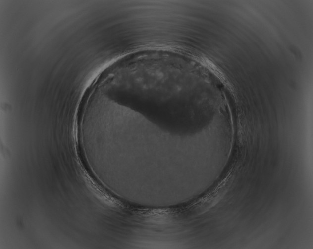 X0000090711028200708031429