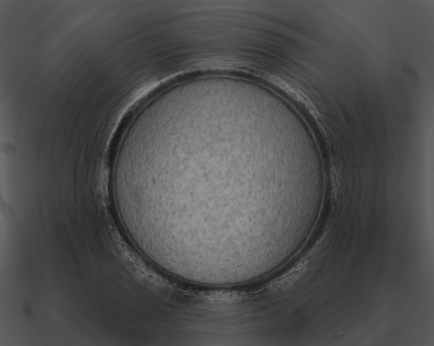 X0000090711029200708031429