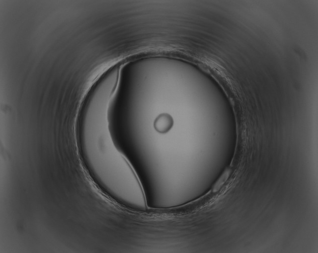 X0000090711030200708031429