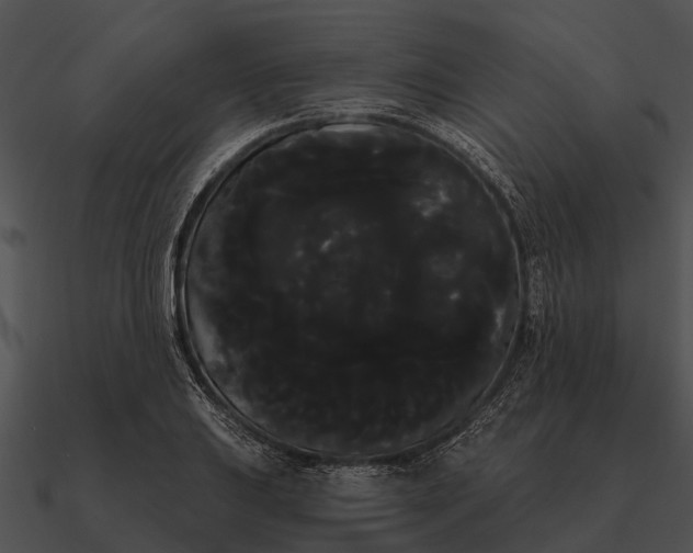 X0000090711031200708031429