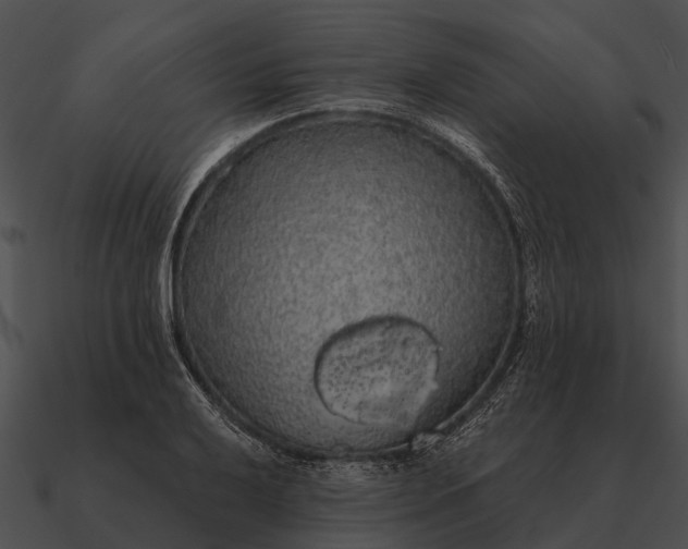 X0000090711032200708031429