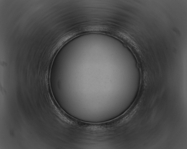 X0000090711033200708031429