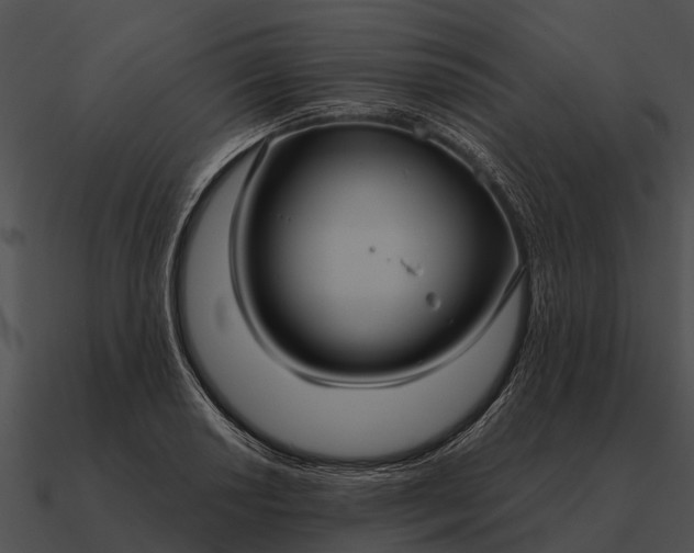 X0000090711034200708031429