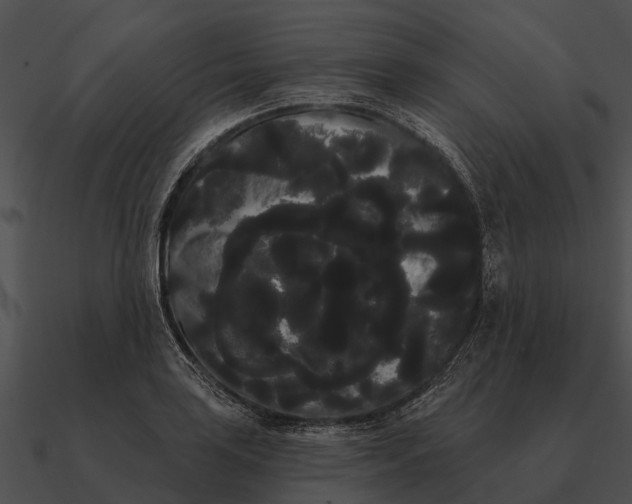 X0000090711035200708031429