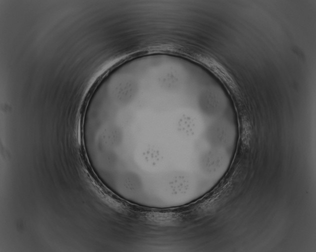 X0000090711036200708031429