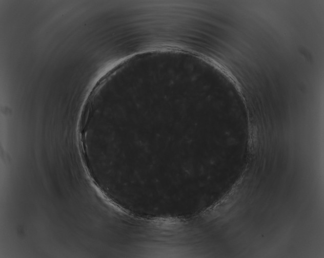 X0000090711037200708031429