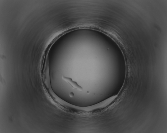 X0000090711038200708031429