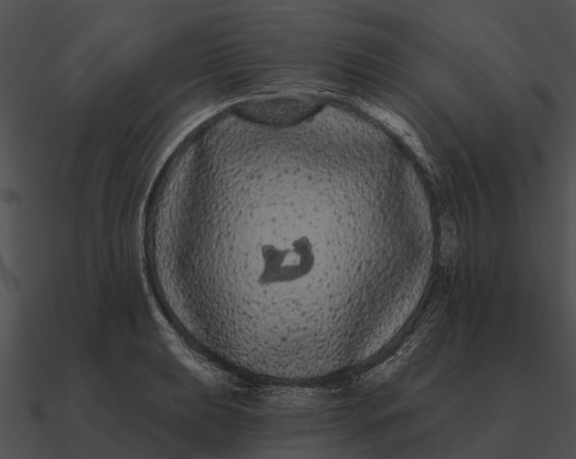 X0000090711039200708031429