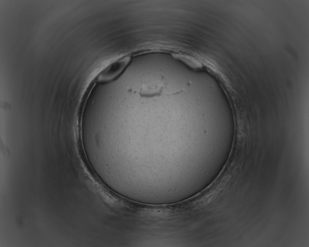 X0000090711040200708031429