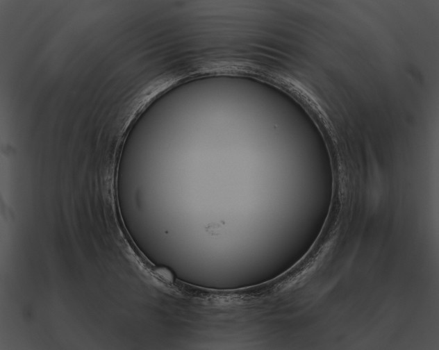 X0000090711041200708031429