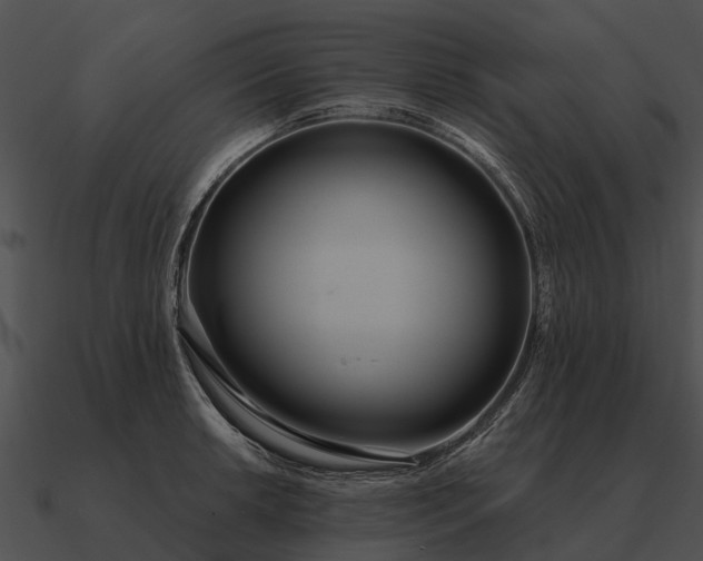 X0000090711042200708031429