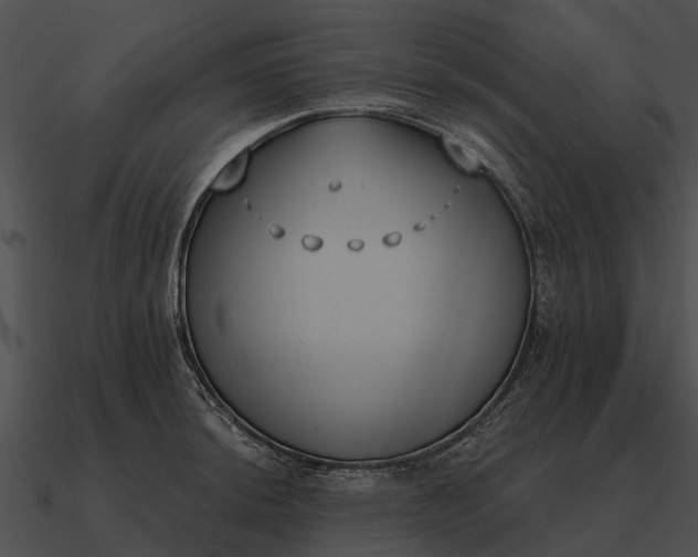 X0000090711044200708031429