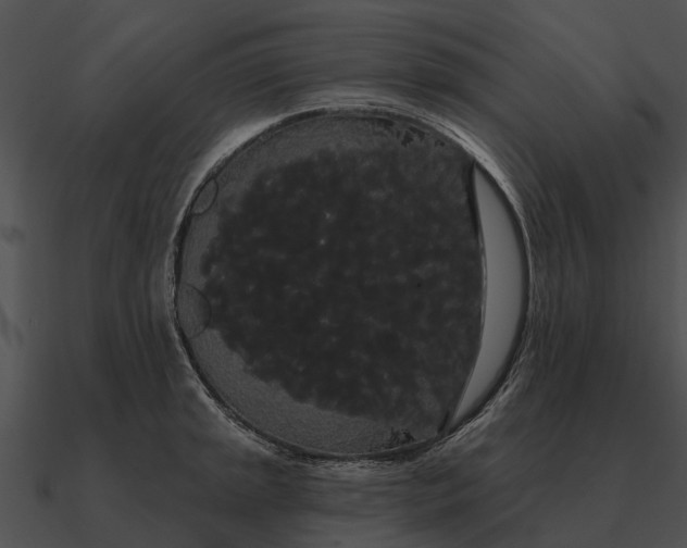 X0000090711045200708031429