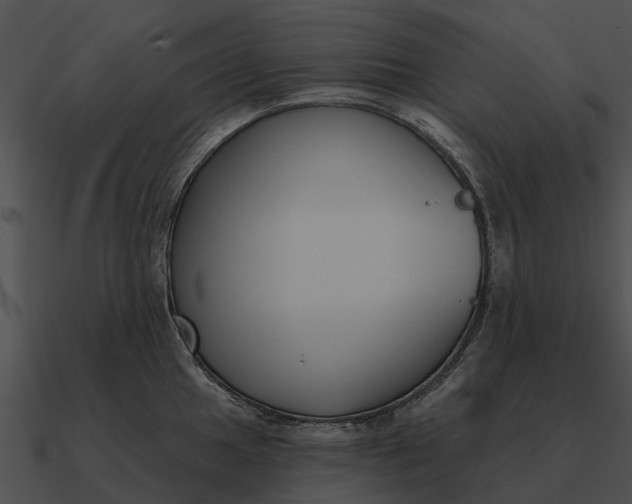 X0000090711049200708031429