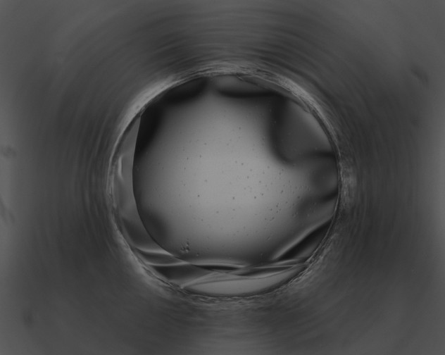 X0000090711050200708031429