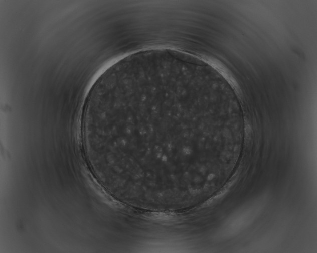 X0000090711052200708031429