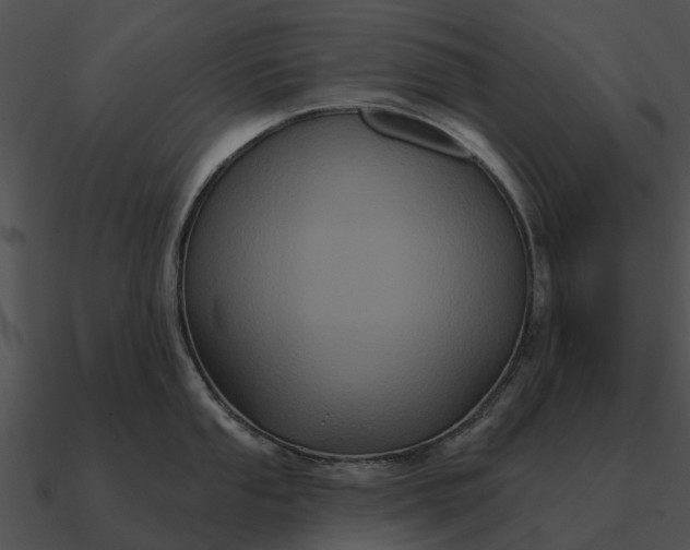 X0000090711053200708031429