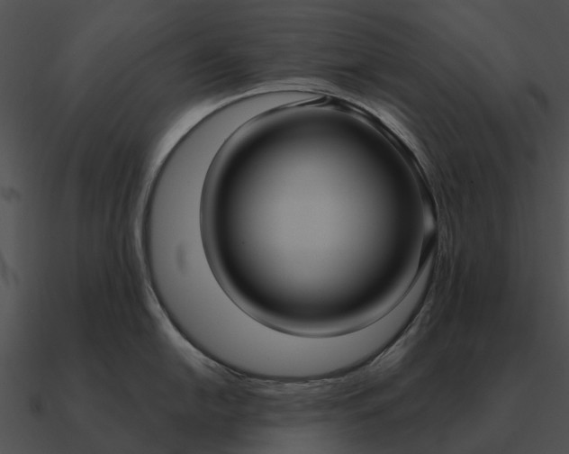 X0000090711054200708031429