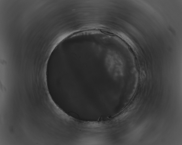 X0000090711055200708031429