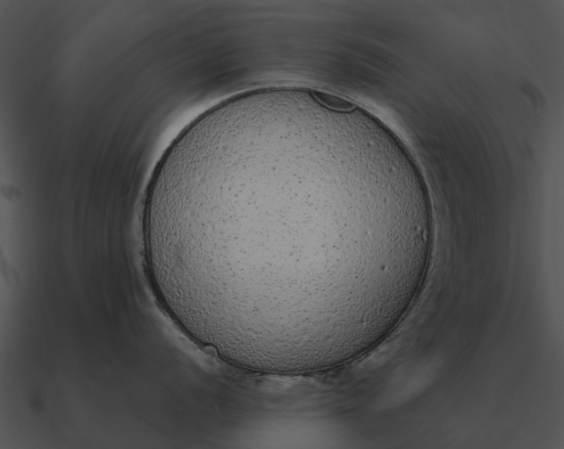 X0000090711056200708031429