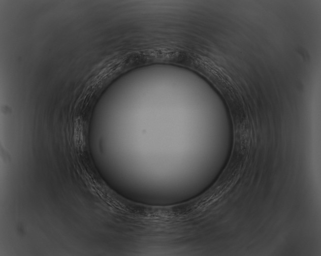 X0000090711058200708031428