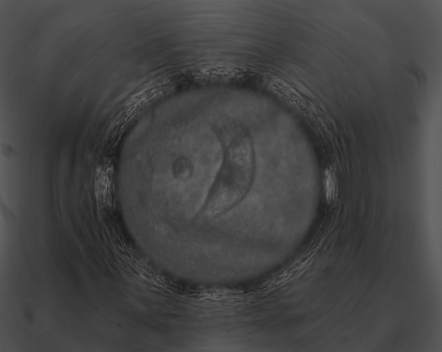 X0000090711059200708031428