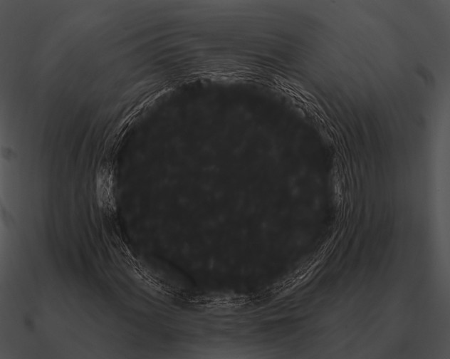 X0000090711060200708031428