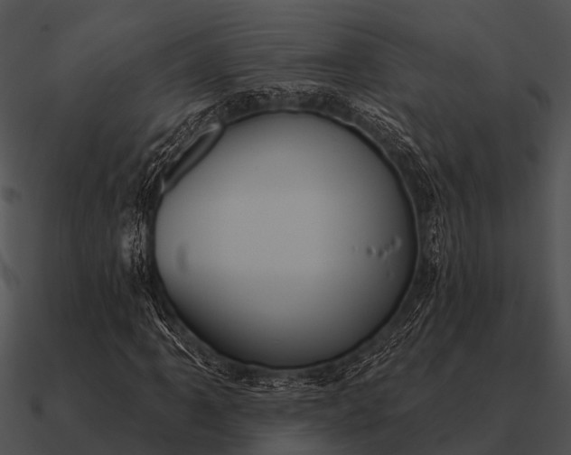 X0000090711061200708031428