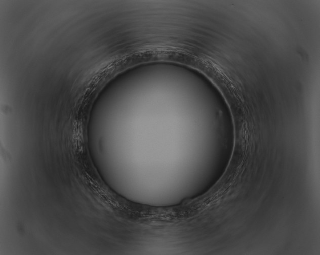 X0000090711062200708031428