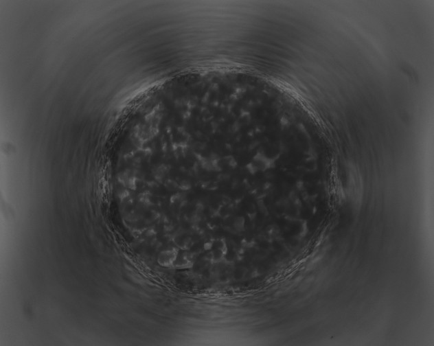 X0000090711063200708031428