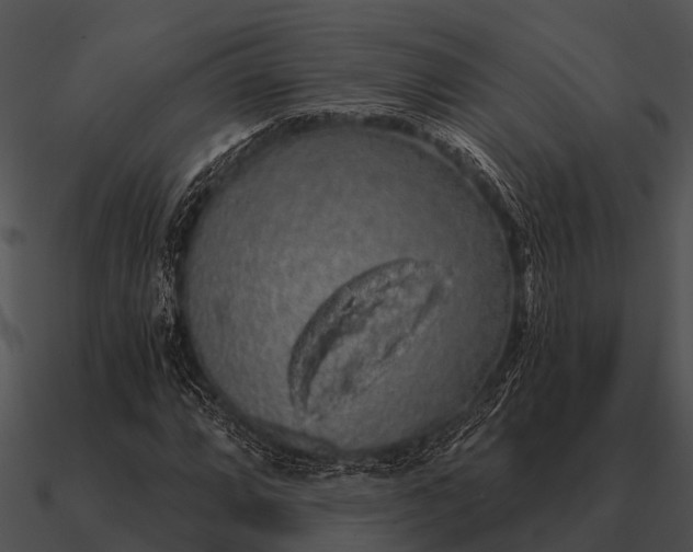 X0000090711064200708031428