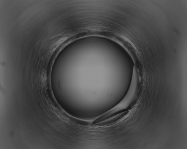 X0000090711065200708031428