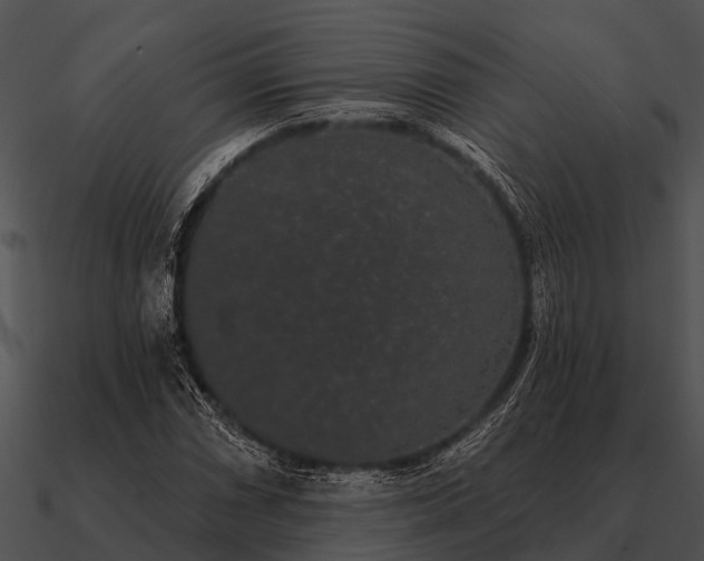 X0000090711066200708031428