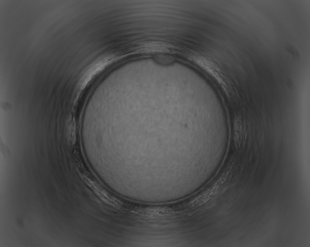 X0000090711067200708031428