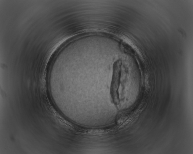 X0000090711068200708031428