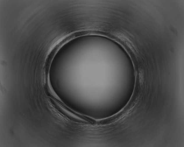 X0000090711069200708031428